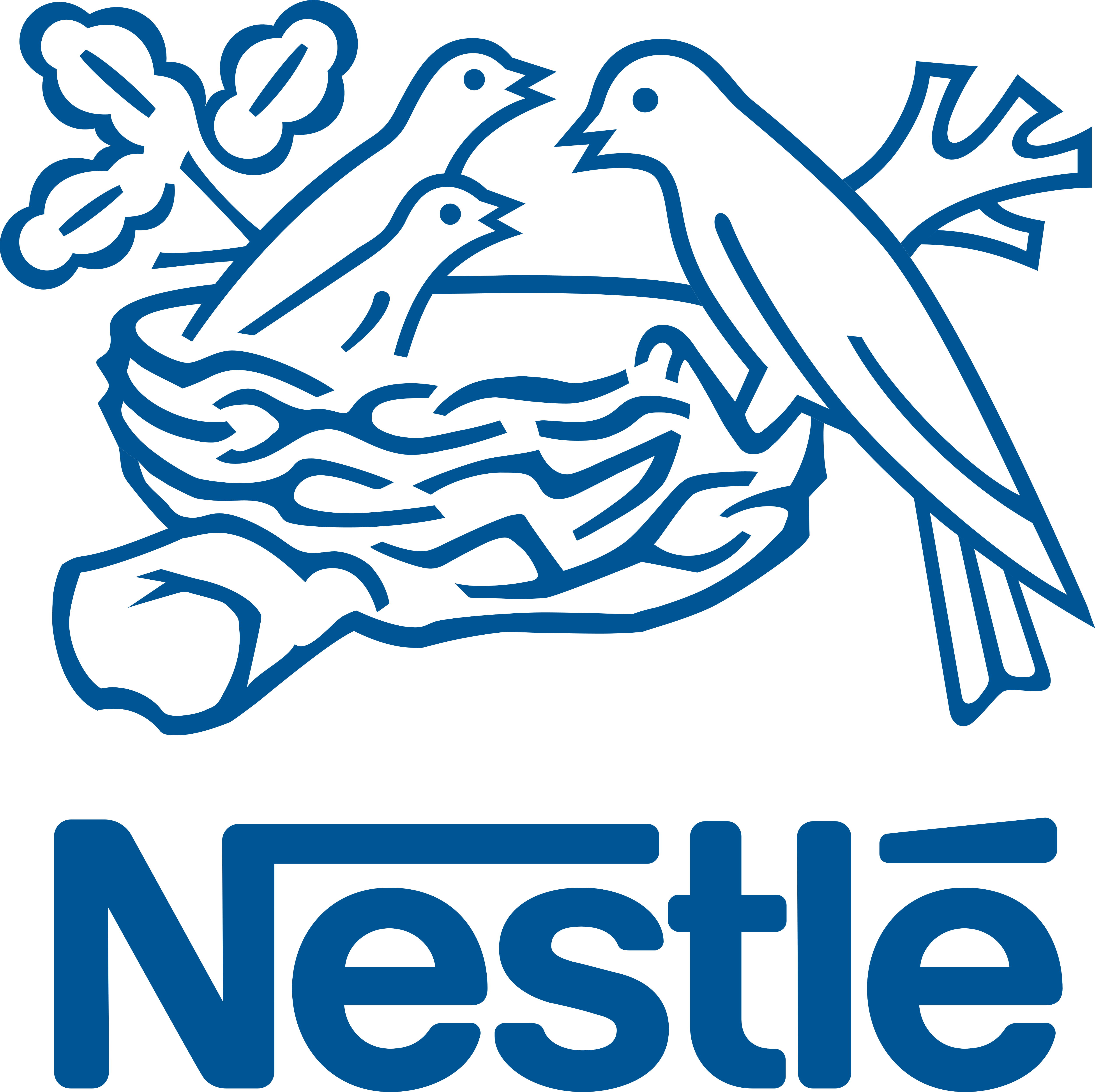 Stage d&rsquo;observation – Nestlé